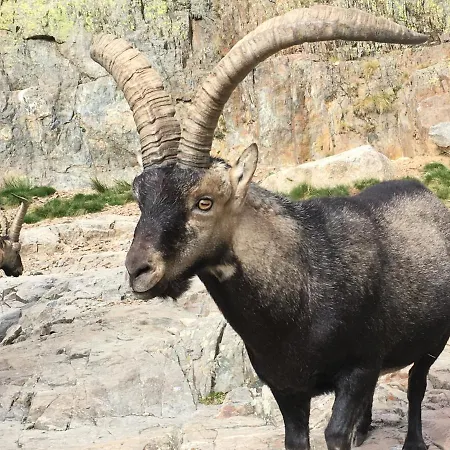 Dom wakacyjny Ermita De Gredos