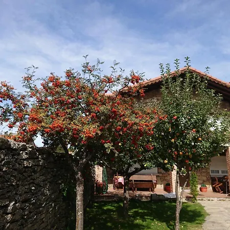 Ermita De Gredos * Navarredonda