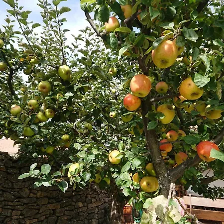 بيت للعطل Ermita De Gredos