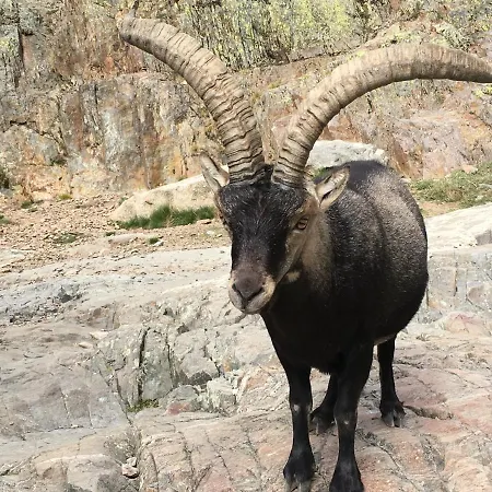 بيت للعطل Ermita De Gredos *