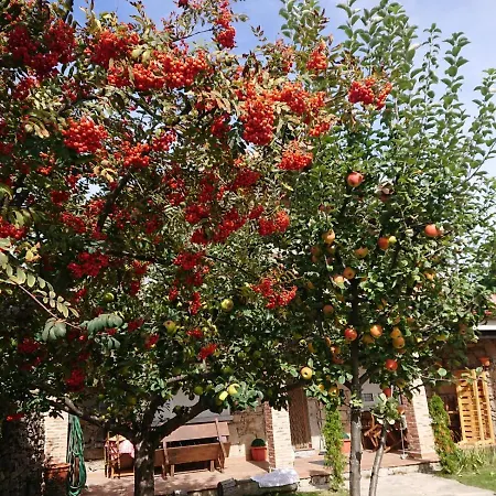 Ermita De Gredos Dom wakacyjny Navarredonda de Gredos