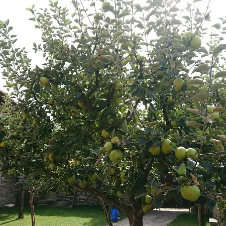 Ermita De Gredos بيت للعطل *