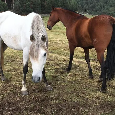 Ermita De Gredos Navarredonda de Gredos