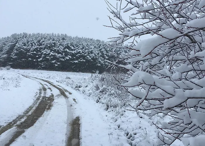 Ermita De Gredos 펜션 *