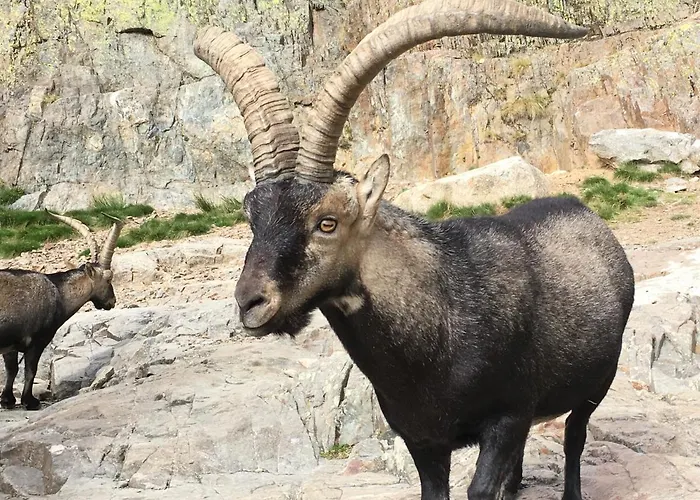 펜션 Ermita De Gredos