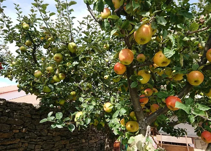 펜션 Ermita De Gredos