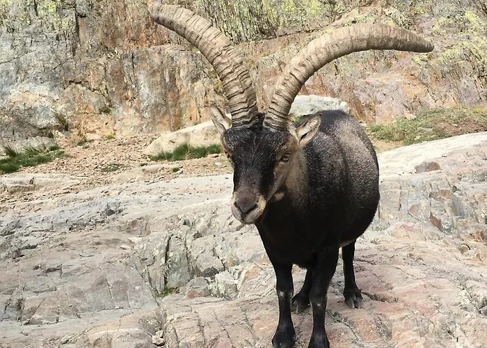 펜션 Ermita De Gredos *