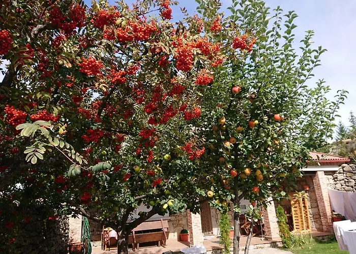 Ermita De Gredos 펜션 나바레돈다 데 그레도스