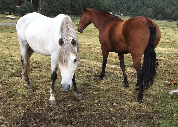 Ermita De Gredos 나바레돈다 데 그레도스